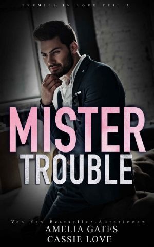 [Enemies in Love 02] • Mr. Trouble · Eine gefährliche Liebe